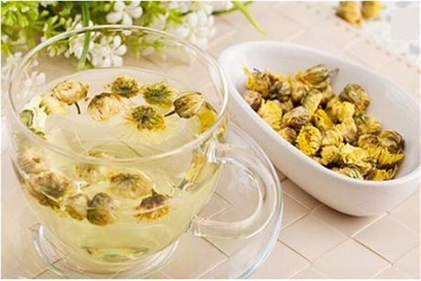 菊花茶泡了为什么会变绿 菊花茶怎么泡才正确 菊花茶泡了为什么会变绿 菊花茶怎么泡才正确