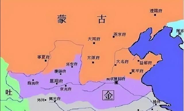 网络配图