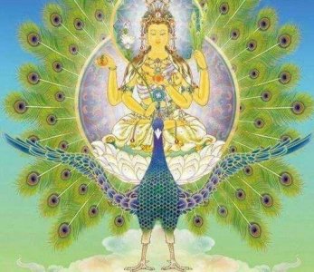 ​佛母孔雀大明王菩萨是佛宗之一，竟是西游记中大鹏鸟的兄弟