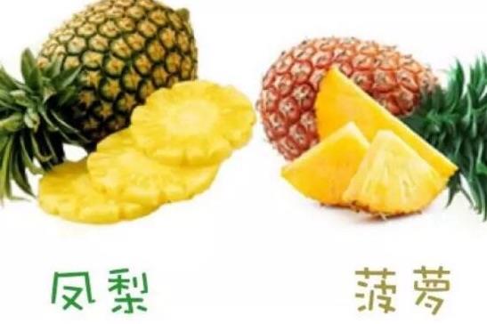 生活菠萝和凤梨的区别,六个方面教你如何区分 3