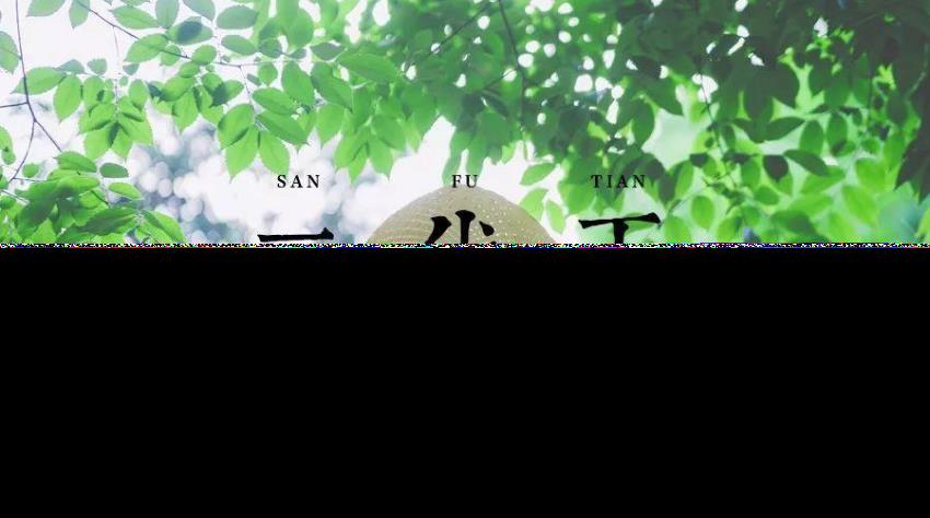 2615138df124b33fe9f1c552c3152620.png 三伏.png