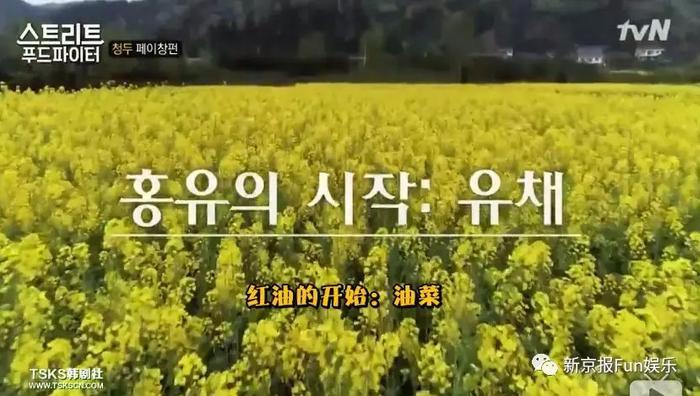 韩国大叔版“舌尖上的中国”  不煽情的美食综艺