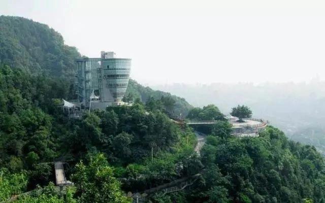 你知道重庆的南山一棵树吗?简单的名字背后隐藏着不简单