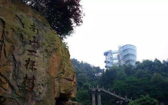 你知道重庆的南山一棵树吗?简单的名字背后隐藏着不简单