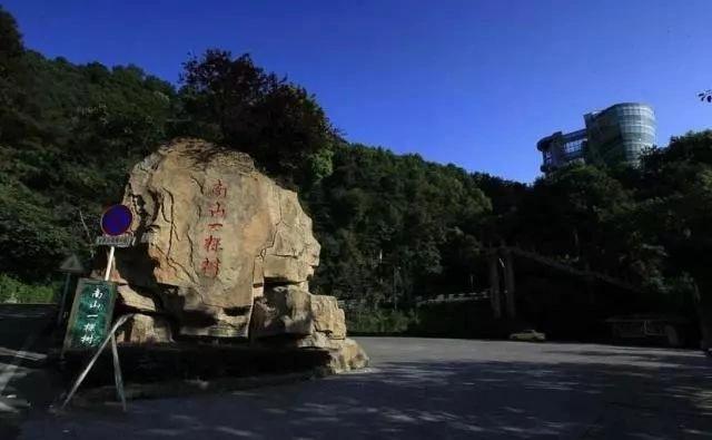 你知道重庆的南山一棵树吗?简单的名字背后隐藏着不简单