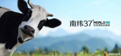 ​澳洲A2奶粉怎么样？A2奶粉是徒有虚名还是真有那么好？