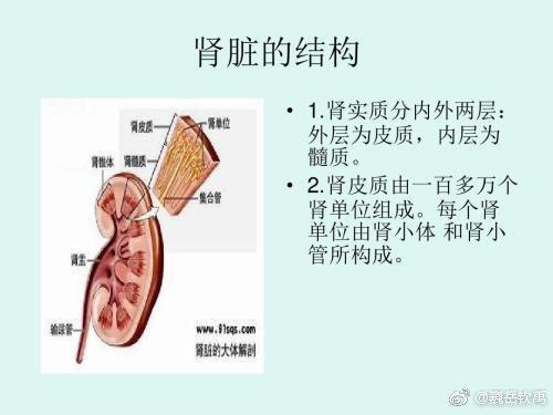 当年割肾买手机的小伙现在怎么样了？