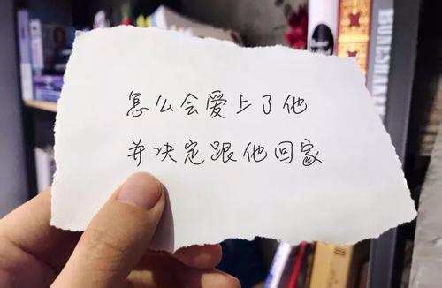 怎么会爱上了他,并决定跟他回家