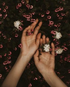 ​离婚后挽回前妻技巧,离婚后想挽回怎么沟通