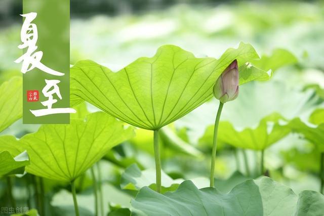 夏至前后暑热重，这5种应季水果最值得吃，鲜嫩多汁又解暑