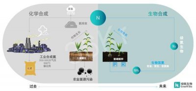 ​以合成生物固氮替代化肥，「绿氮生物」获源码资本千万元种子轮融资 | 36氪首发