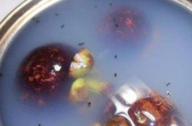 20块1斤的山竹买了4个,打开后崩溃了,网友反转:这样才新鲜