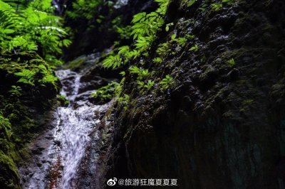 ​广西·靖西·通灵大峡谷