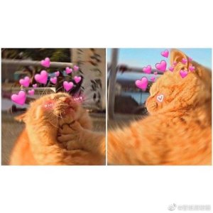 ​一组可爱的情侣头像