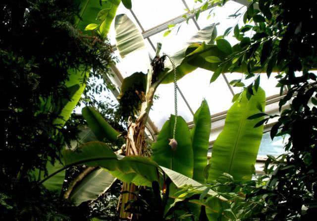 京城7个好玩的温室植物园,能满足你和孩子的一切好奇心