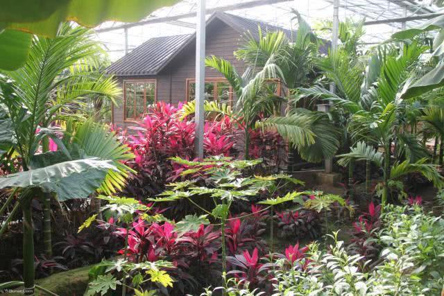 京城7个好玩的温室植物园,能满足你和孩子的一切好奇心