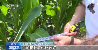 ​为了研发粮食的“粮食”，他们在田间地头“挖土”
