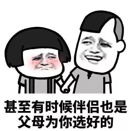 搞笑网恋请加我，全网无前任表情包，网恋吗分手也ojbk的那种