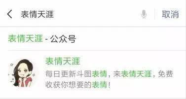 搞笑网恋请加我，全网无前任表情包，网恋吗分手也ojbk的那种