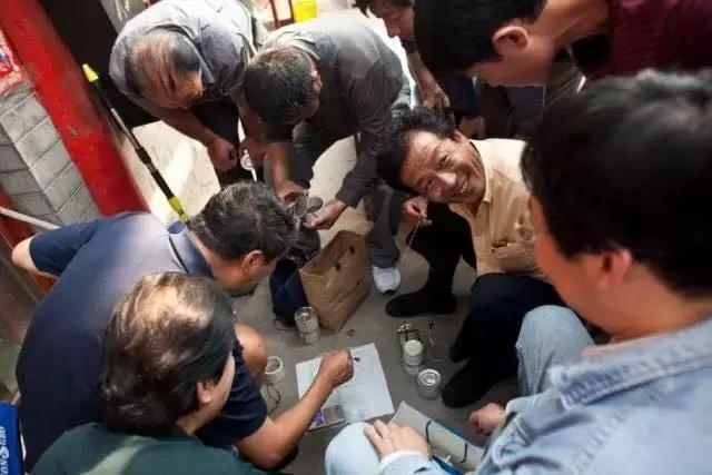 中国古老的血腥运动“斗蛐蛐”