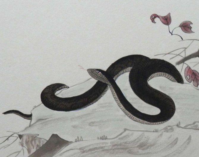我们俗称土蛇命,77年属蛇人的后半辈子:纳音为“沙中土”,速看