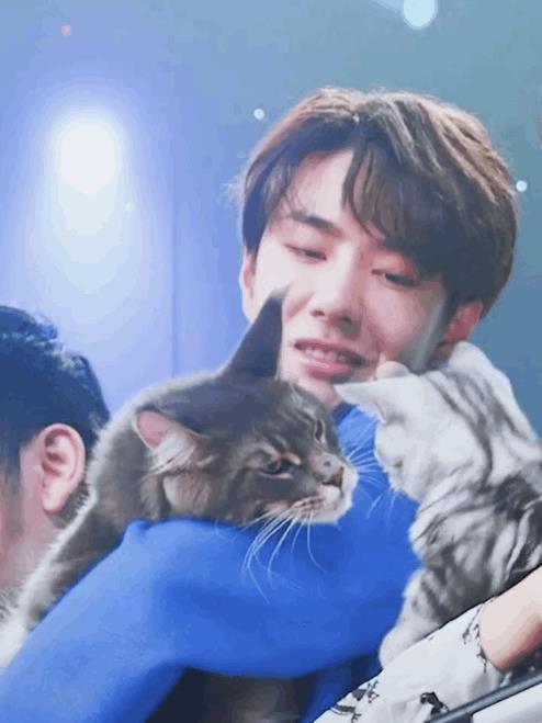 笑容逐渐消失.gif 我太爱看小王各种鲜活小表情了