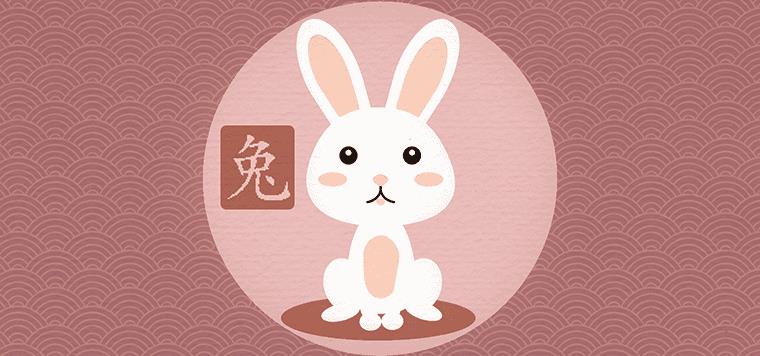 兔和兔相配婚姻会幸福吗 适合做夫妻吗