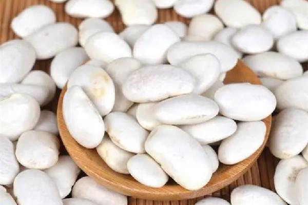 白芸豆可以打豆浆喝吗 白芸豆打豆浆可以每天喝吗 白芸豆可以打豆浆喝吗 白芸豆打豆浆可以每天喝吗