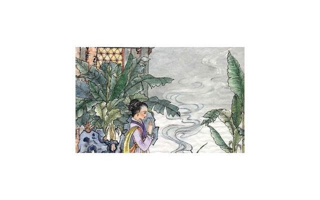 白百何王珞丹（我就越想念那个不服输的白百何）