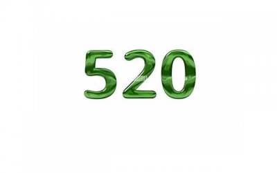 ​520表白情书500字「生活技能感悟300字」