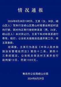 ​“逆行怎么了？打你怎么了？”女子逆行插队追尾前车，竟辱骂殴打对向司机、连