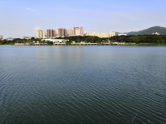 实拍深圳立新湖,曾经废弃的旧水库,有多少人来看过?