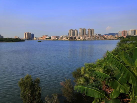 实拍深圳立新湖,曾经废弃的旧水库,有多少人来看过?