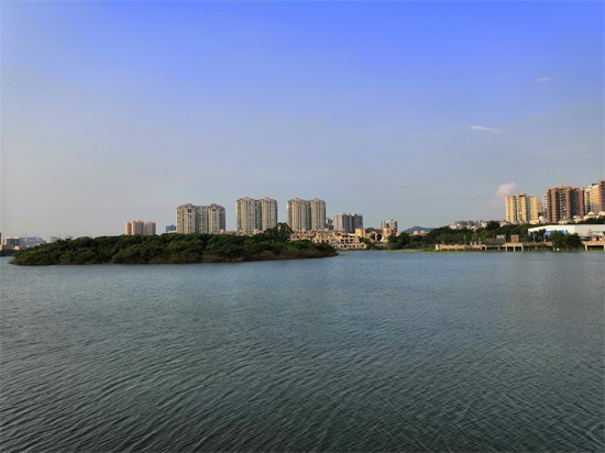 实拍深圳立新湖,曾经废弃的旧水库,有多少人来看过?