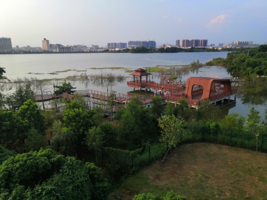 实拍深圳立新湖,曾经废弃的旧水库,有多少人来看过?