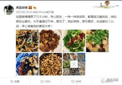 ​桃李满天下的黄磊，这些明星都是他的学生
