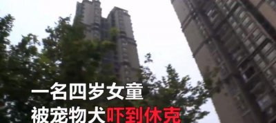 ​4岁女童被狗追吓休克，狗主人瞟了一眼就走：它不咬人