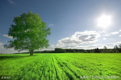 ​大舌头语音矫正-f音绕口令练习！