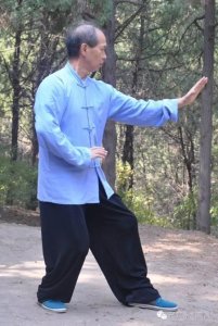 形意拳三体式桩
