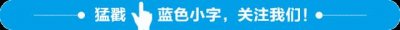 ​钓白条的6条速成法