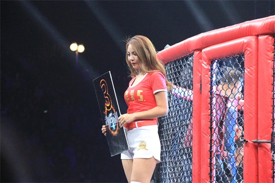 河南卫视《武林风》的武林宝贝风采