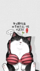 ​手机壁纸｜可爱搞怪吾皇猫插画