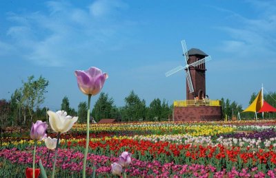 ​枣庄周边赏花景点（2）莲花山生态园