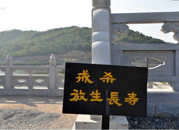 中国1座真正苦修的寺院:寺内禁止旅游、不放功德箱、不收金钱