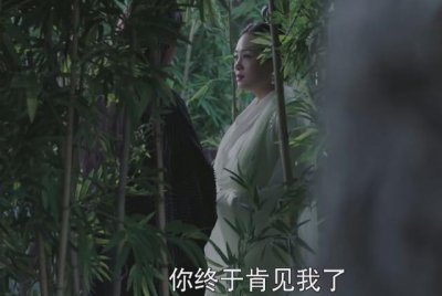​丑闻：扶摇撞见元皇后私会德王，天权皇帝被绿，长孙无极是私生子