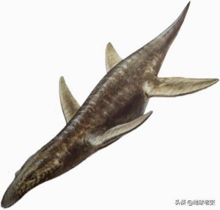 史前生物图鉴119-滑齿龙