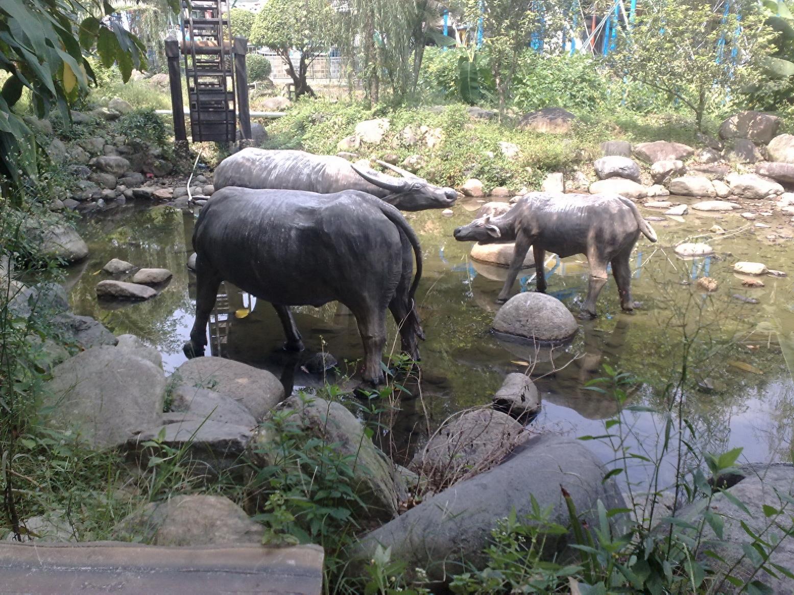 带你一起玩:广东揭阳的万竹园景区