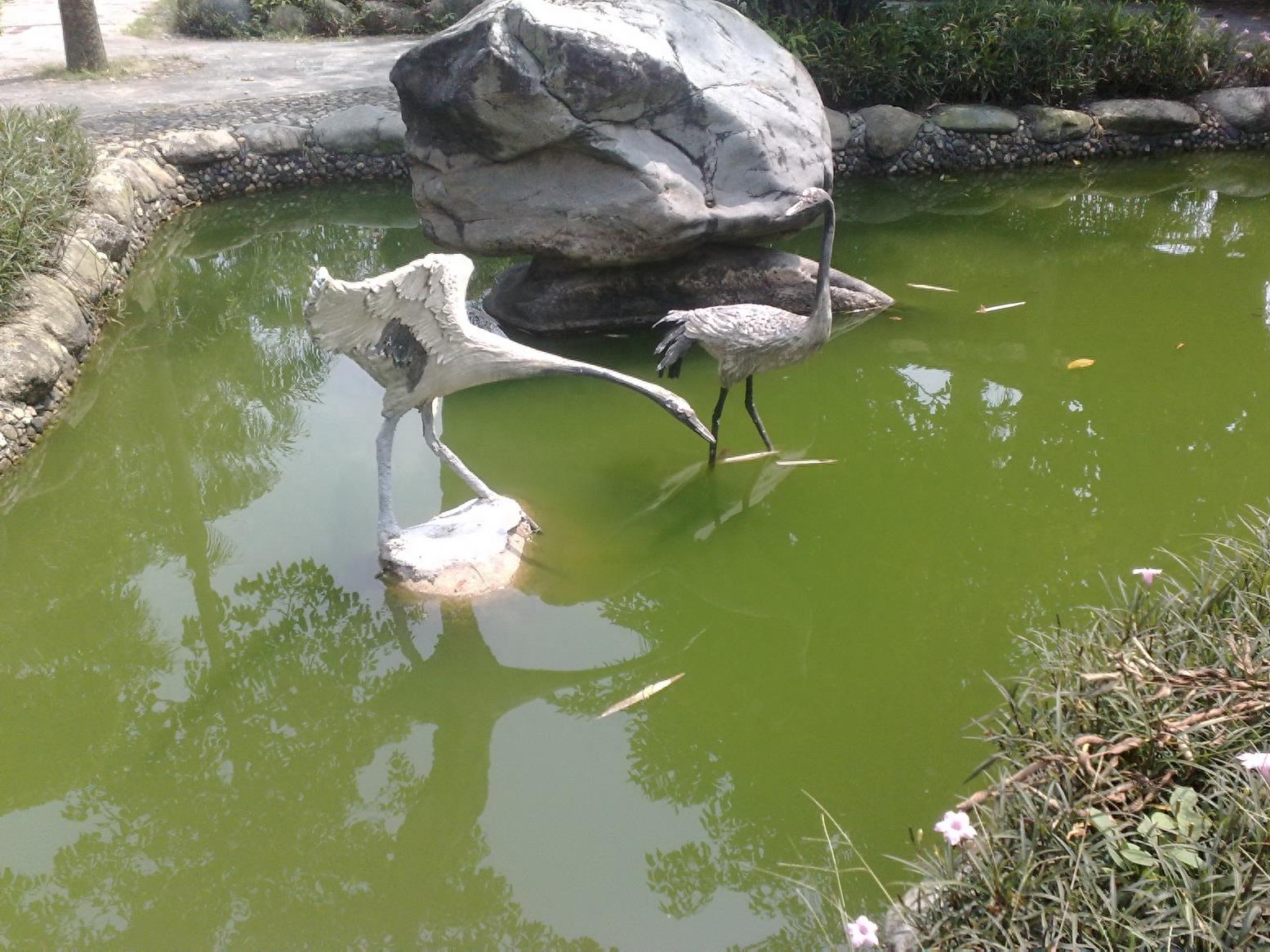 带你一起玩:广东揭阳的万竹园景区