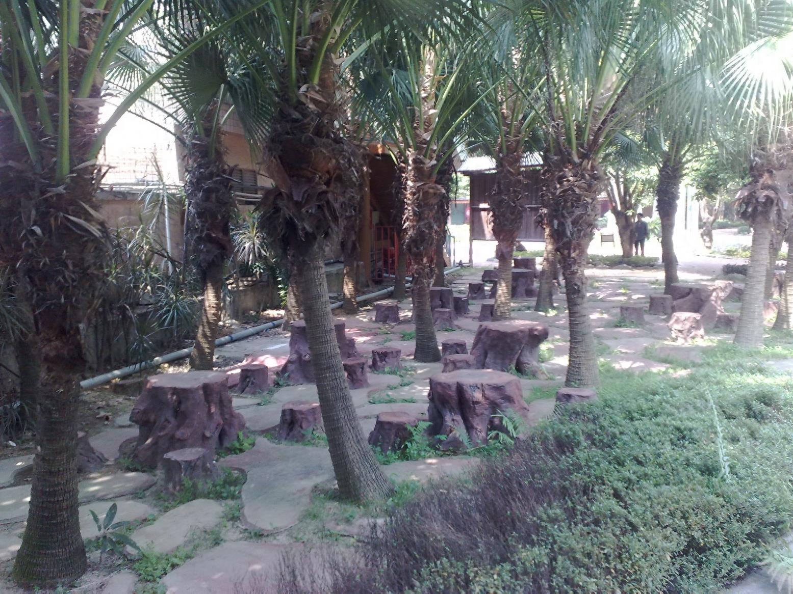 带你一起玩:广东揭阳的万竹园景区
