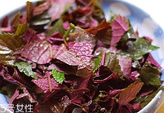 紫苏叶能治皮肤过敏吗? 紫苏叶能治皮肤过敏吗?